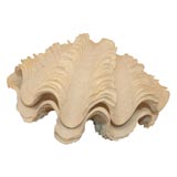 Plaster clam shell