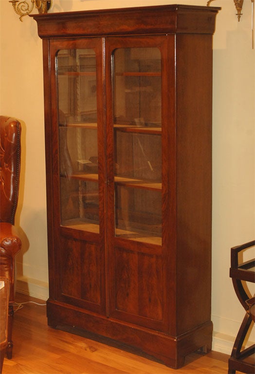 Library Cabinet and Bookcase
