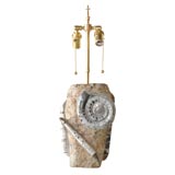 Fossilized Ammonite Lamp
