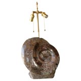 Fossilized Ammonite Lamp (larger of pair offered individually)