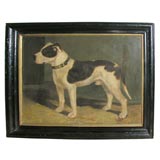 Harry Lyman Dog portrait Harry Lyman Dog portrait