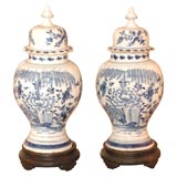 Pair of  Delftware urns