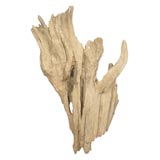 Cypress Wood Sculpture
