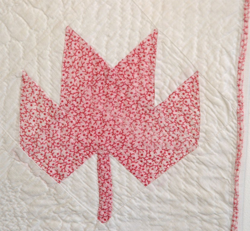 19th Century Maple Leaf Doll Quilt from Pennsylvania 4