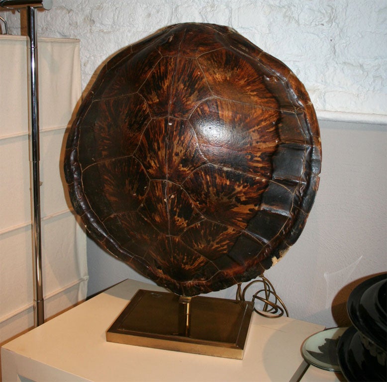 Turtle Shell Lamp on Gilt Stand