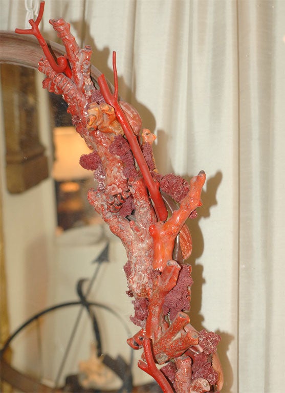 American Ron Morgan Coral Mirror
