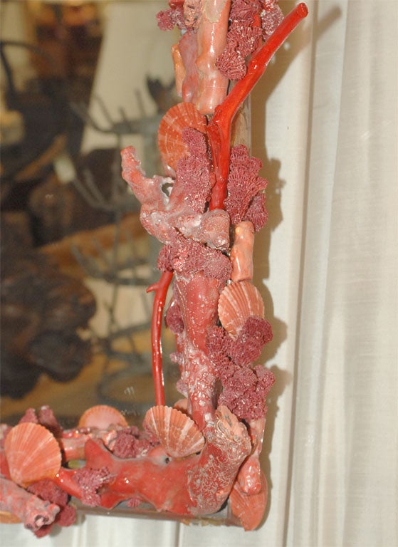 Ron Morgan Coral Mirror 1