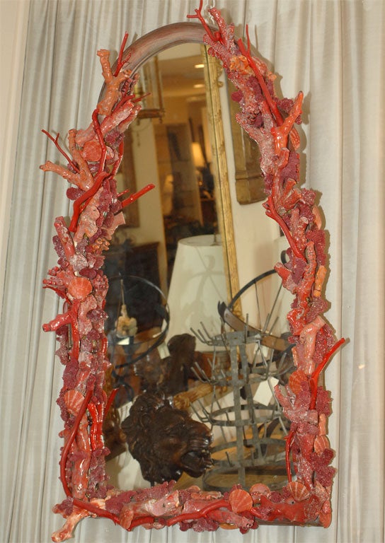Ron Morgan Coral Mirror 2