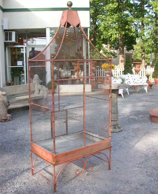 French BIRD CAGE