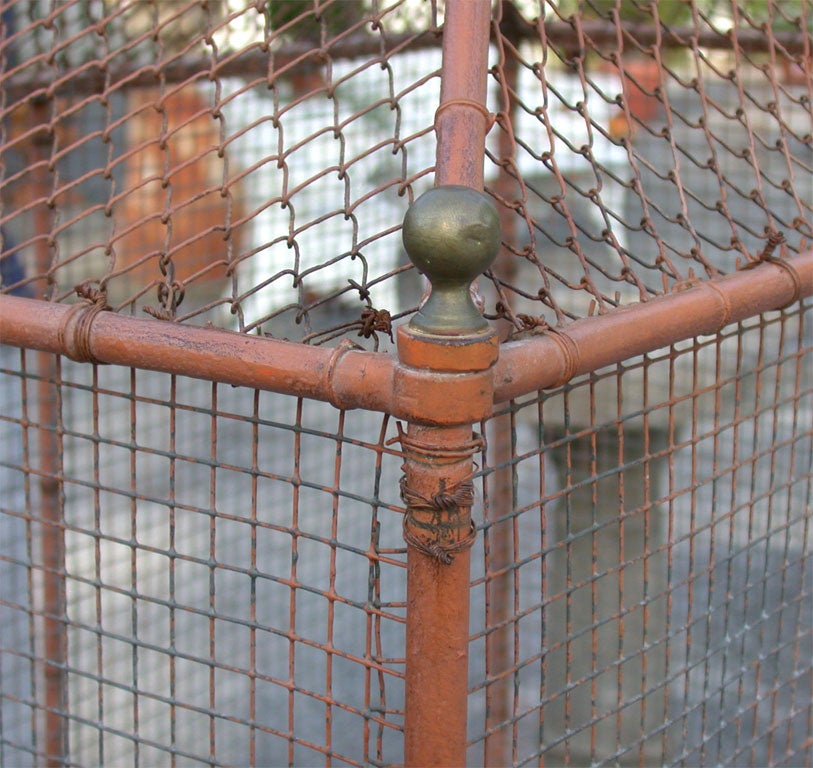 BIRD CAGE 4