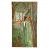 Large Oil on Canvas of a Resplendent Quetzal
