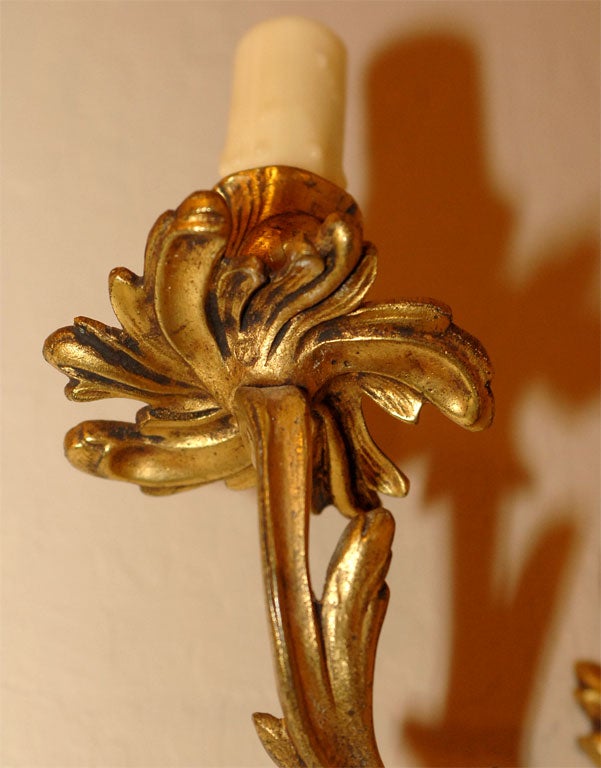 Set of 4 Louis XV STyle Bronze 2-Light Bras de Lumiere For Sale 5
