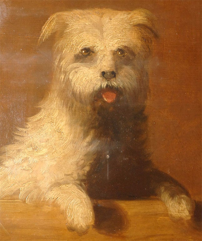 English Charming Oil on Panel Painting of a White Terrier For Sale