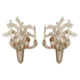 Pair of Shell Sconces