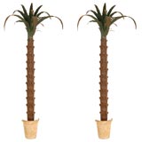 Pair of Italian Tole "Palm Tree" Lighted Wall Appliques
