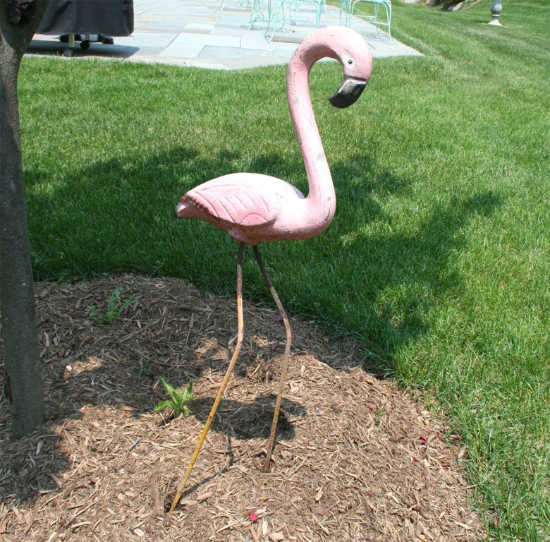 Pink Flamingo
