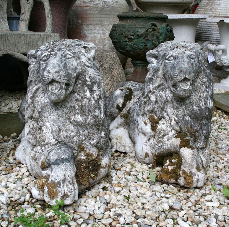 Pair of Stone Lions