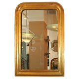 #3954 Medium Sized Louis Phillipe Gold Mirror