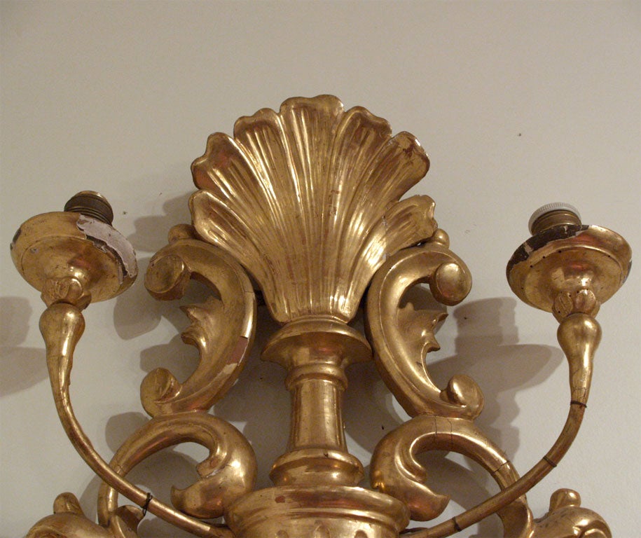 Monumental Pair of Carved Giltwood Wall Sconces with very shallow arms. 5 lights per sconce. Have been electrified, need rewiring.