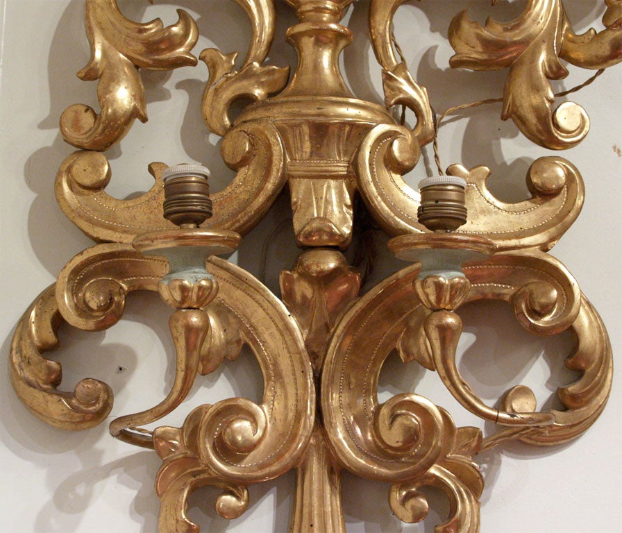 19th Century Monumental Pair of Giltwood Italian Wall Sconces For Sale