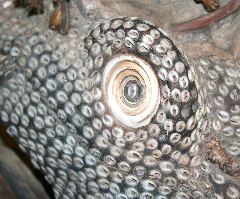 Rare Inlaid Crocodile Head from Papua New Guinea 2