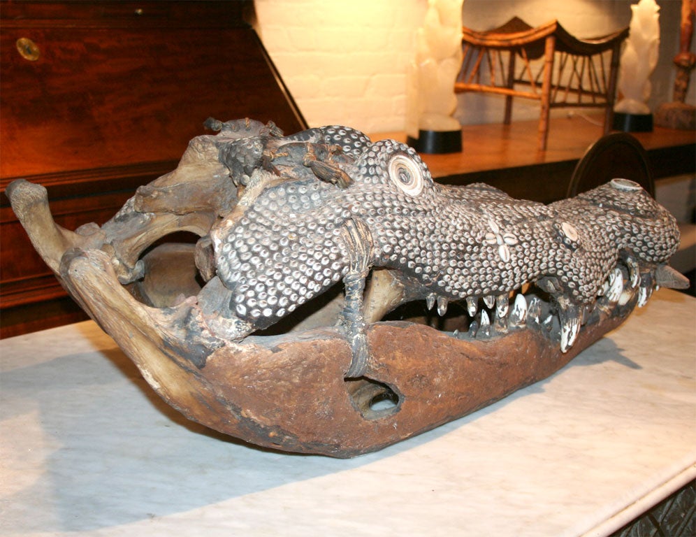 Rare Inlaid Crocodile Head from Papua New Guinea 3
