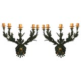 A Set of Four Painted and Parcel Gilt Venetian Five Light Sconce