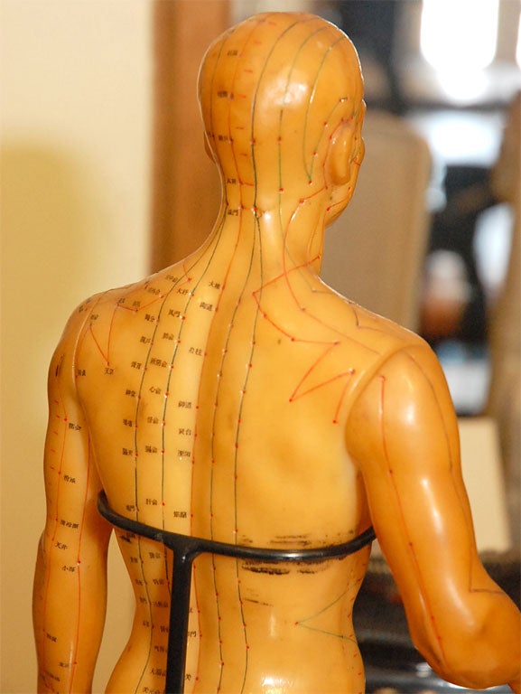 Acupuncture Doll 2