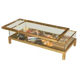 Brass Case Coffee Table