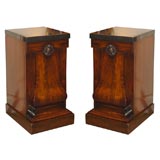 Antique Pair of William IV Pedestal Cabinets
