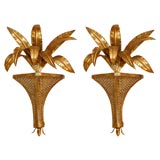 Pair of Gold Leaf Italian Sconces