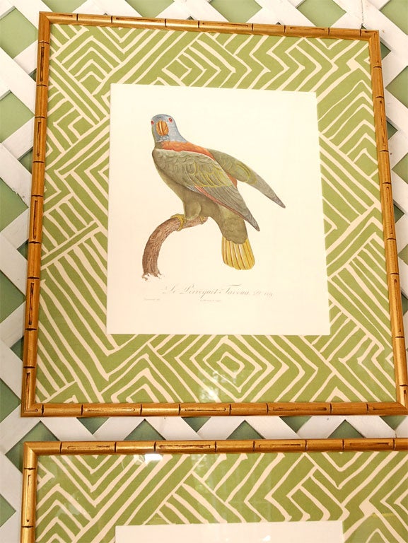 Set of 4 Parrot Prints 2
