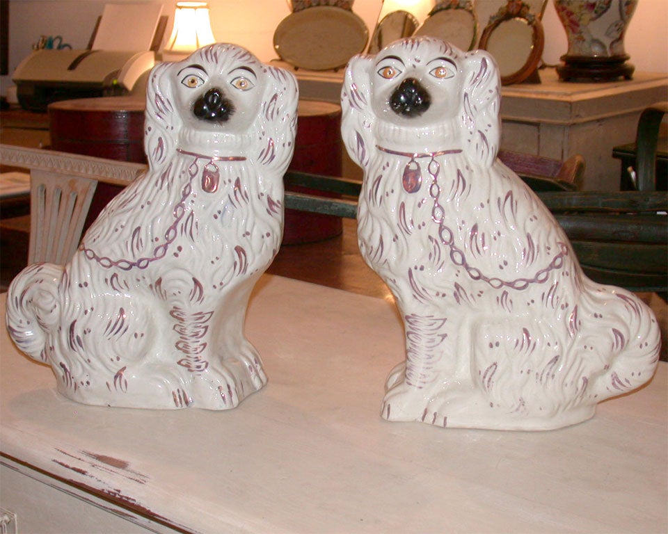pink staffordshire dogs