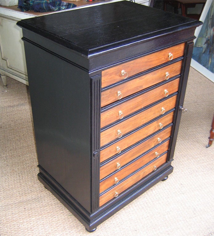 French 19th Century Cabinet for Butterflies Collection For Sale