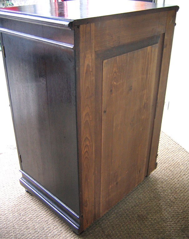 Oak 19th Century Cabinet for Butterflies Collection For Sale