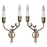 Pair of Delightful Sconces
