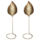Pair of Tommaso Barbi Brass Leaf Floor  Lamps