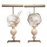 Pair of Nautilus Table Lamps