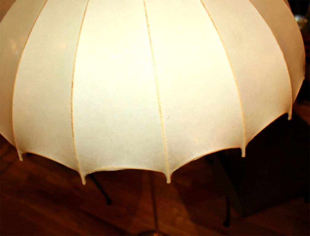 Single brass umbrella form floor lamp with vellum shade 6