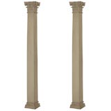 Pair of Neo-classical Corinthian Columns