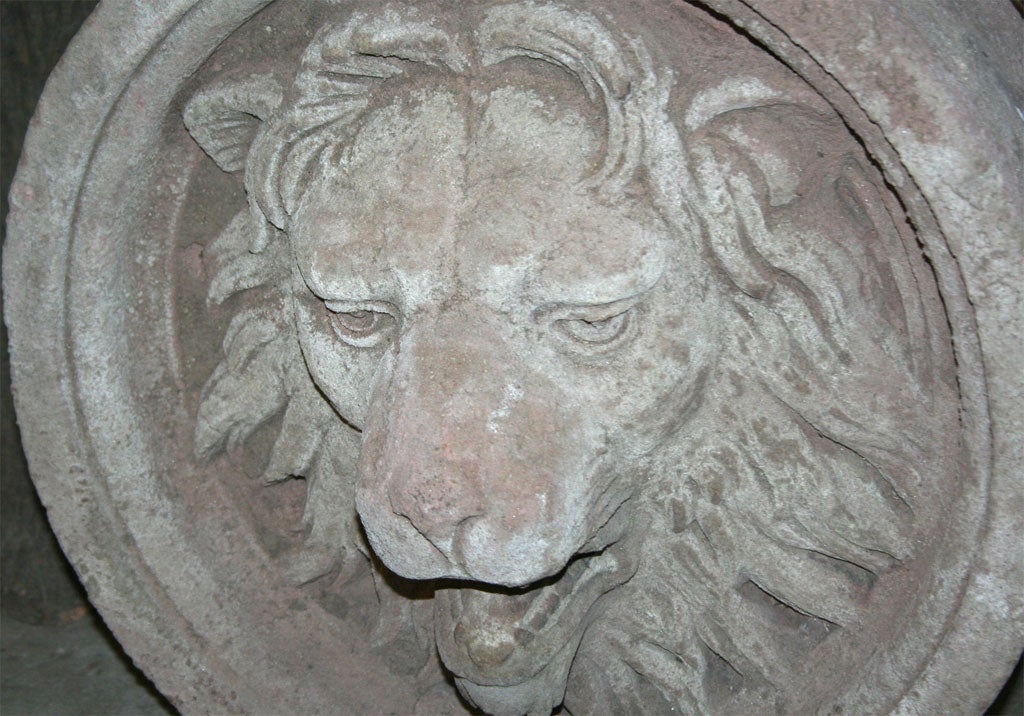 Lion Mask Rondel