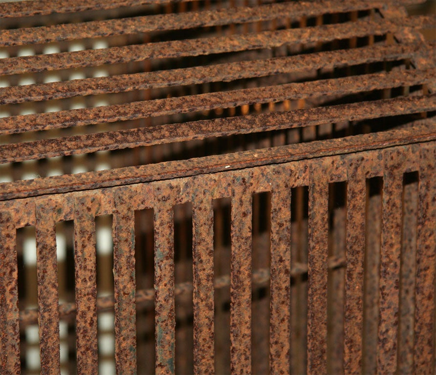 Rusted Iron Bird Cage 4