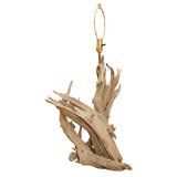 Drift wood table lamp