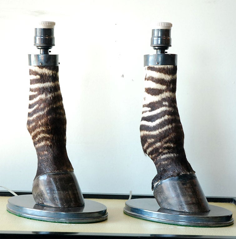 A rare pair of zebra hoof table lamps, Africa - Campaign style.