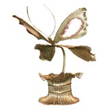 Brass Butterfly with Agat Wings