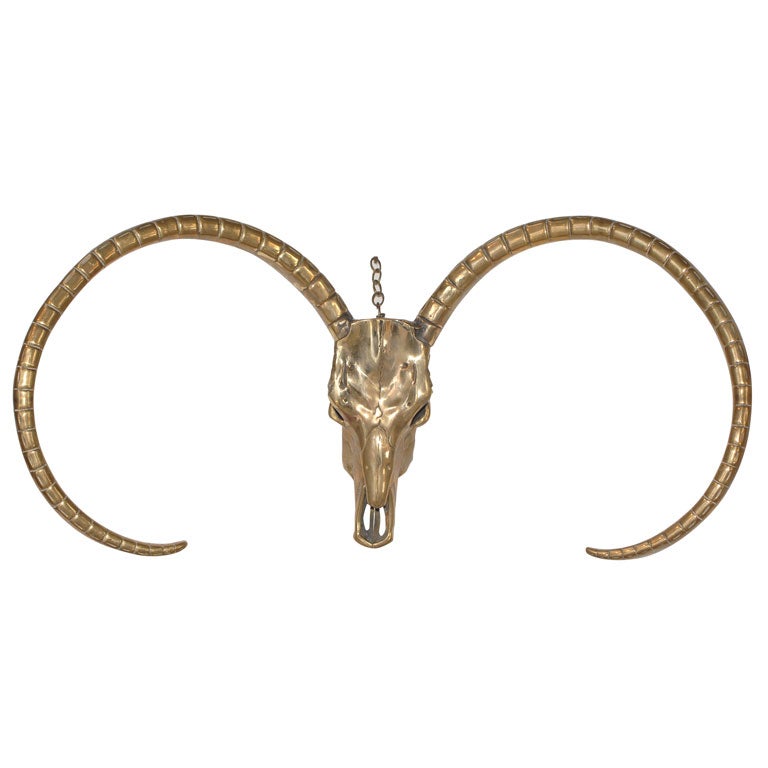 gazelle skull drawing gazelle skull drawing