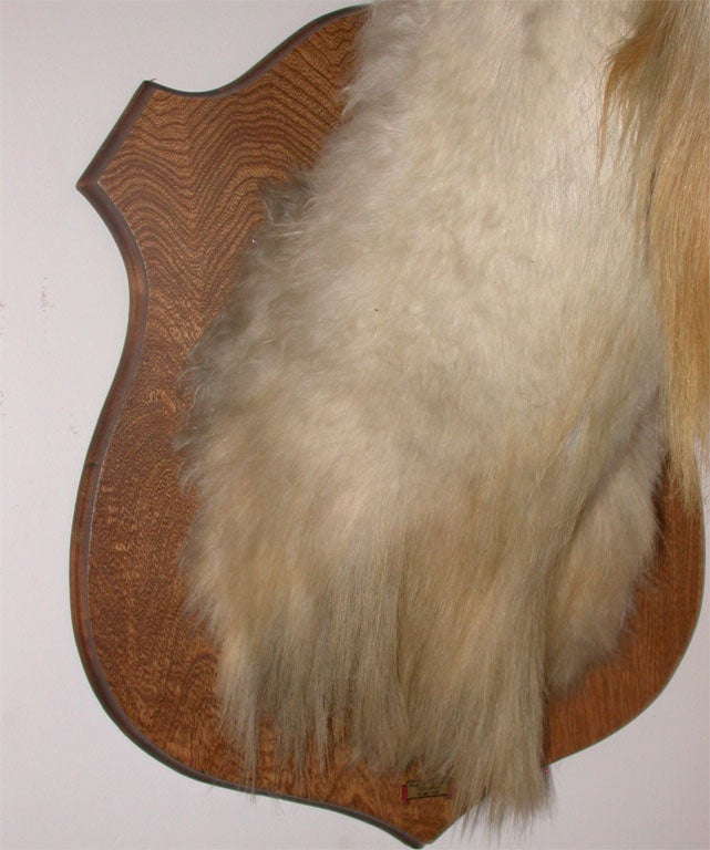 European Goat Mount 4