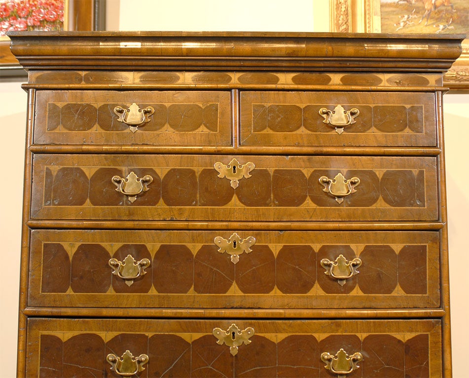 Olive Chest on Stand