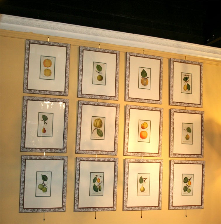Set of Twelve Antique Hand Colored Etchings of Fruit