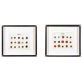 Illustrated Map of the Oceans Illustrated Map of the Oceans